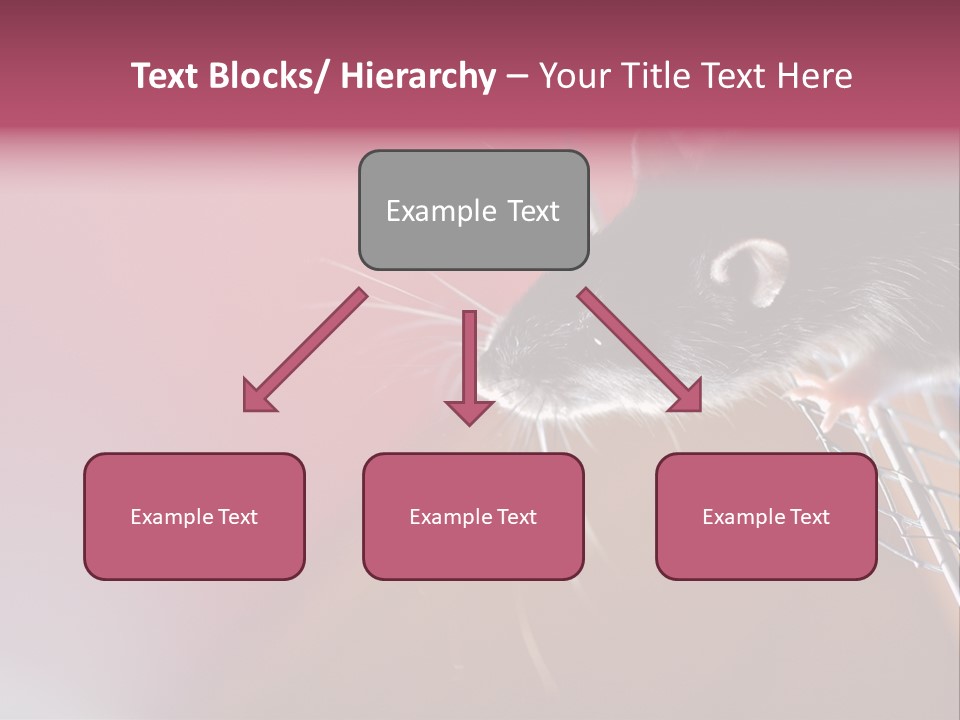 Greek Orthodox Church In Nicosia PowerPoint Template