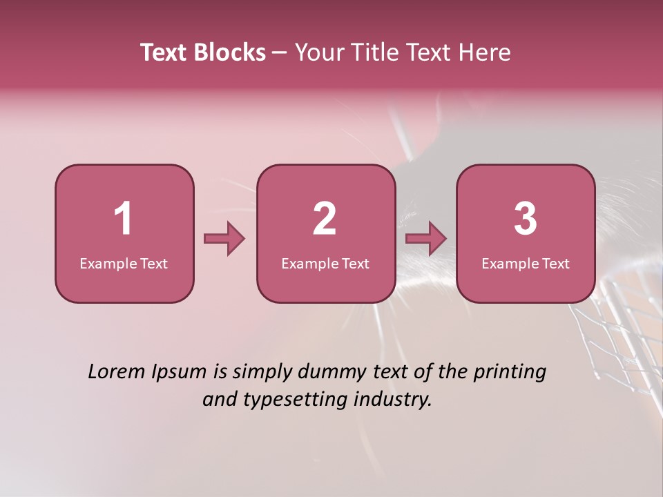 Greek Orthodox Church In Nicosia PowerPoint Template