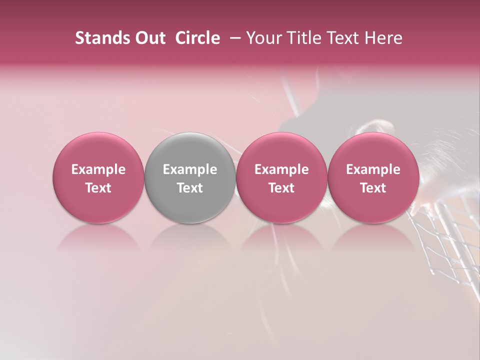 Greek Orthodox Church In Nicosia PowerPoint Template