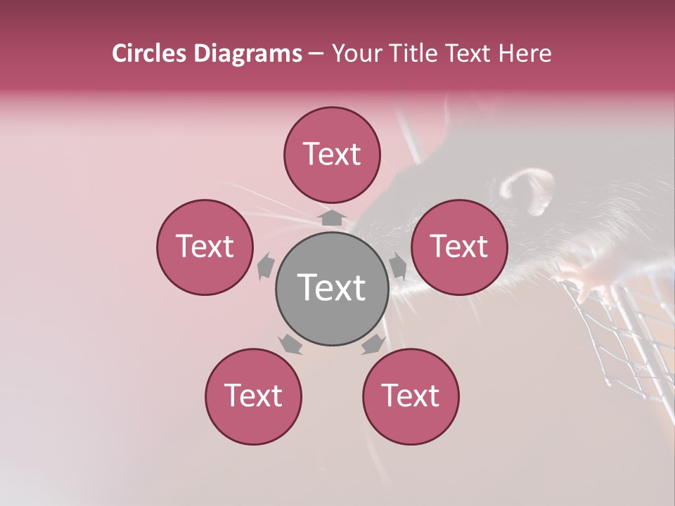 Greek Orthodox Church In Nicosia PowerPoint Template