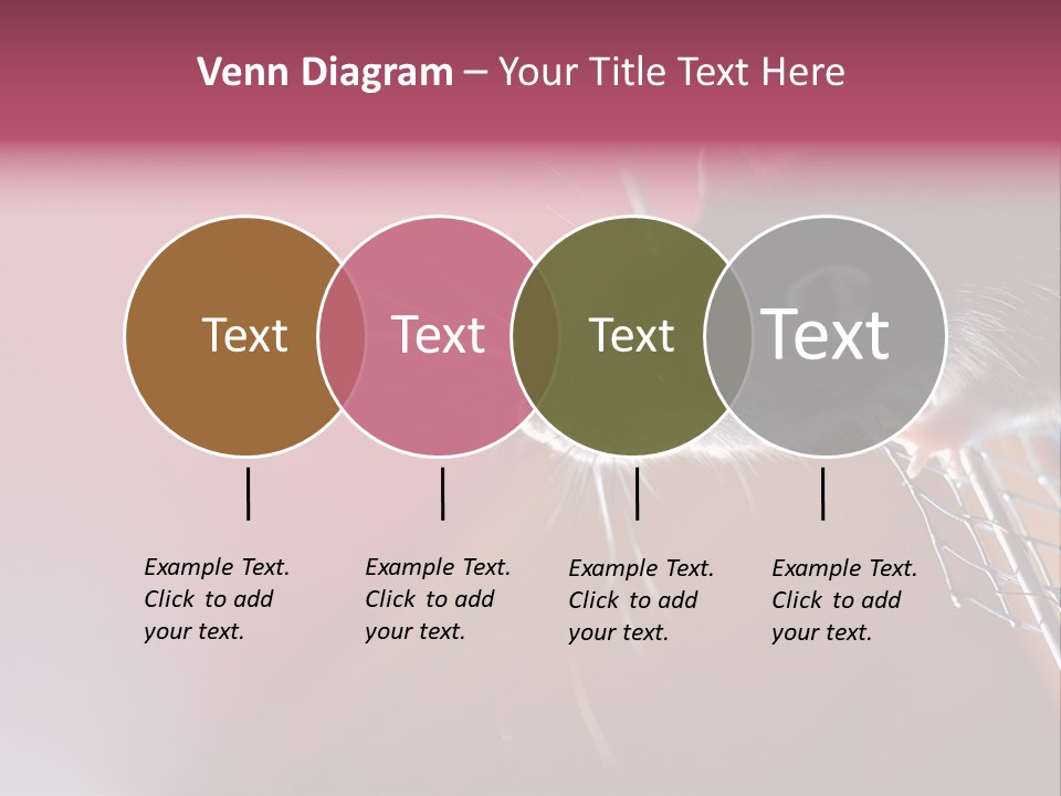 Greek Orthodox Church In Nicosia PowerPoint Template