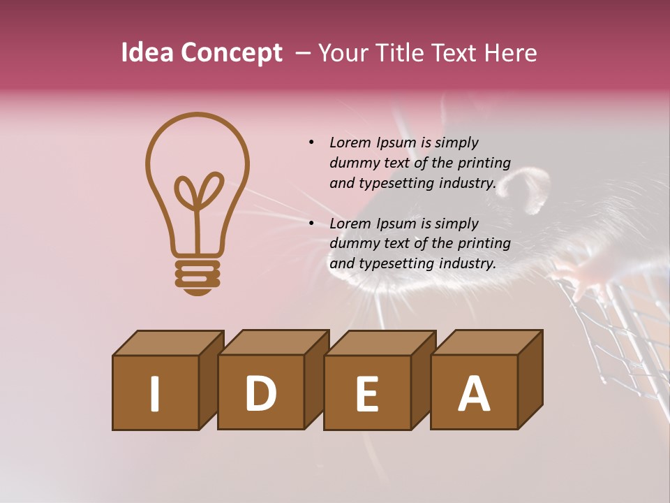 Greek Orthodox Church In Nicosia PowerPoint Template