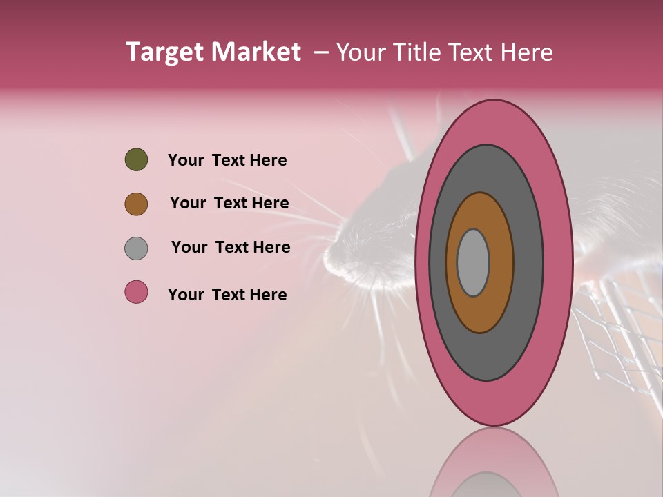 Greek Orthodox Church In Nicosia PowerPoint Template