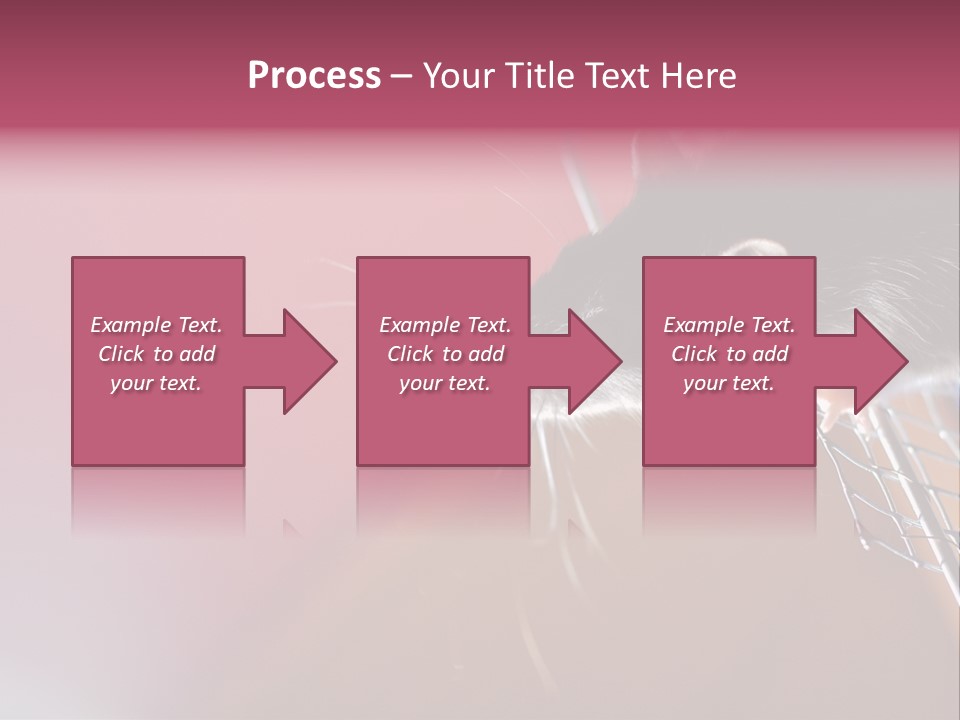 Greek Orthodox Church In Nicosia PowerPoint Template