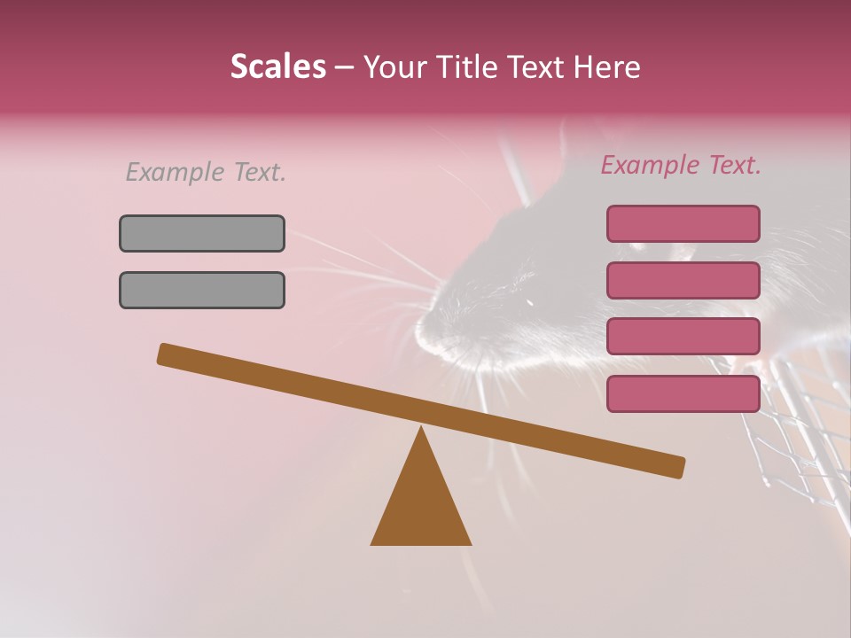 Greek Orthodox Church In Nicosia PowerPoint Template