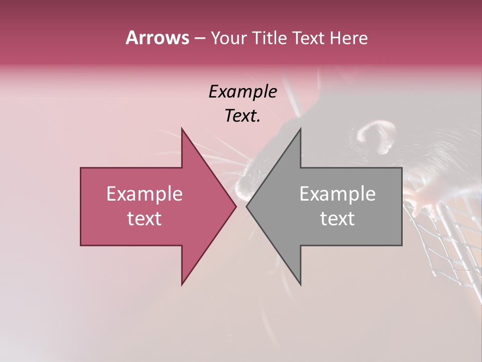 Greek Orthodox Church In Nicosia PowerPoint Template