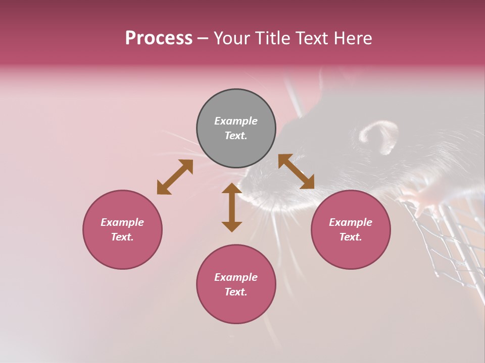 Greek Orthodox Church In Nicosia PowerPoint Template