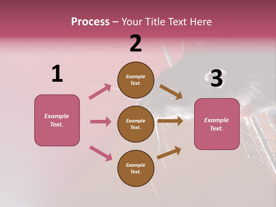 Greek Orthodox Church In Nicosia PowerPoint Template