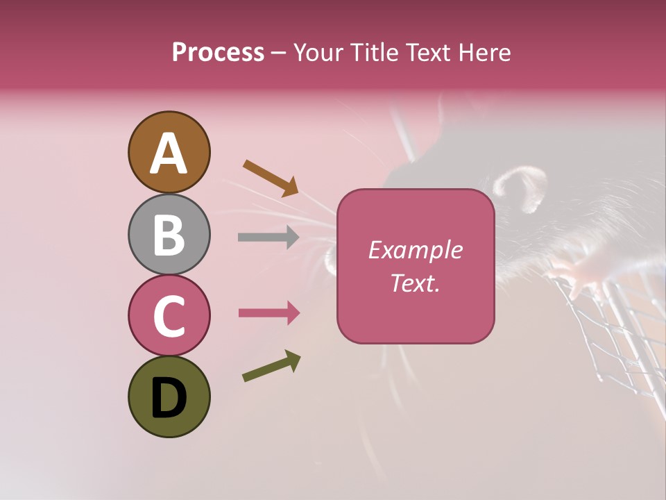 Greek Orthodox Church In Nicosia PowerPoint Template