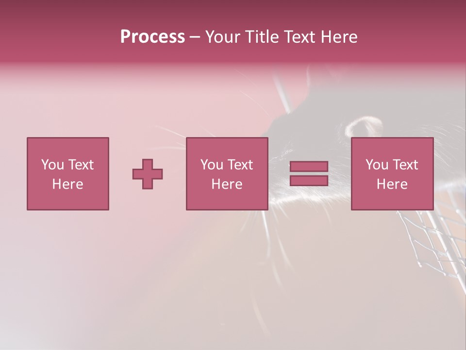 Greek Orthodox Church In Nicosia PowerPoint Template