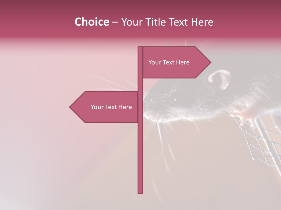 Greek Orthodox Church In Nicosia PowerPoint Template