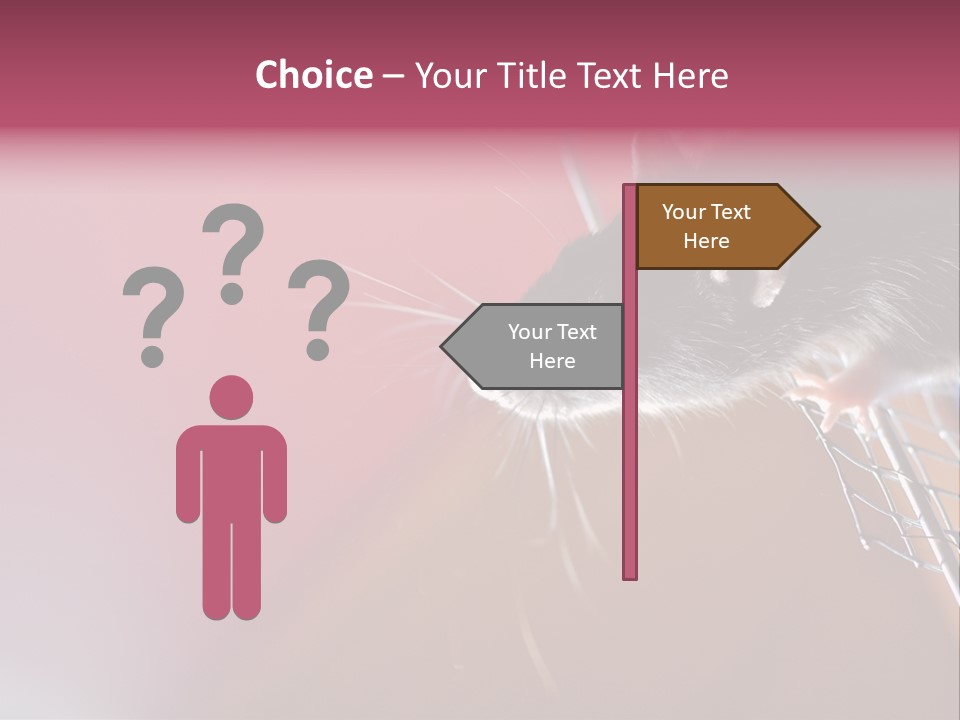 Greek Orthodox Church In Nicosia PowerPoint Template