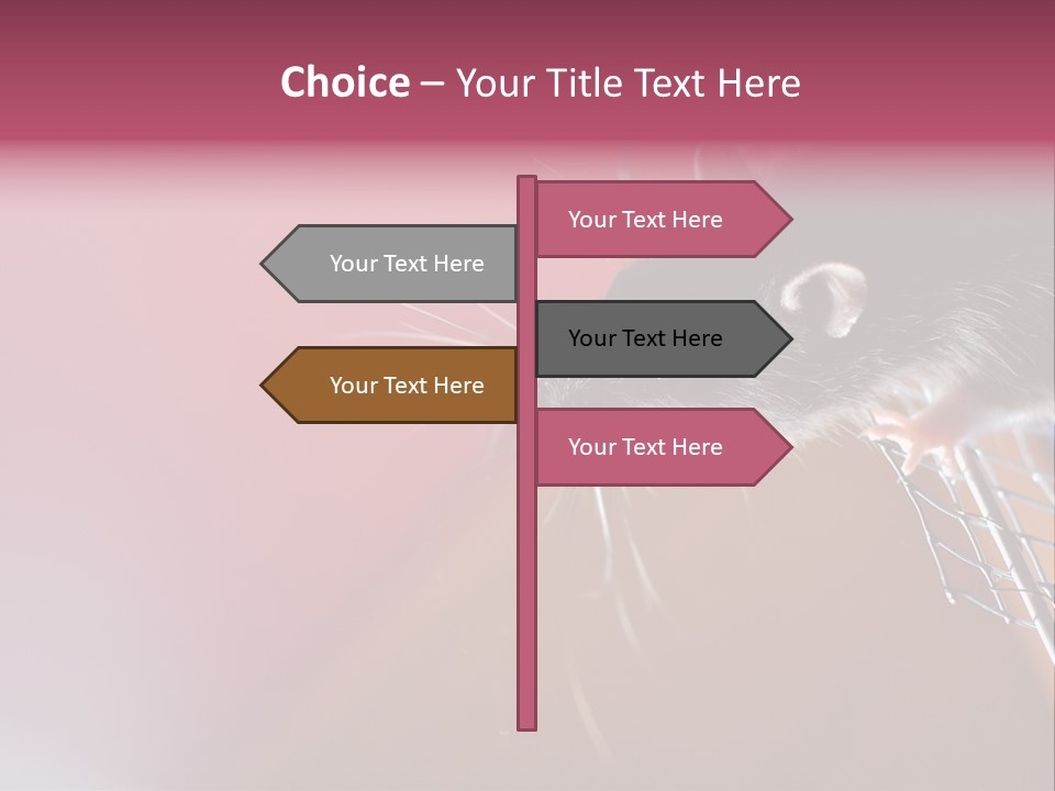 Greek Orthodox Church In Nicosia PowerPoint Template