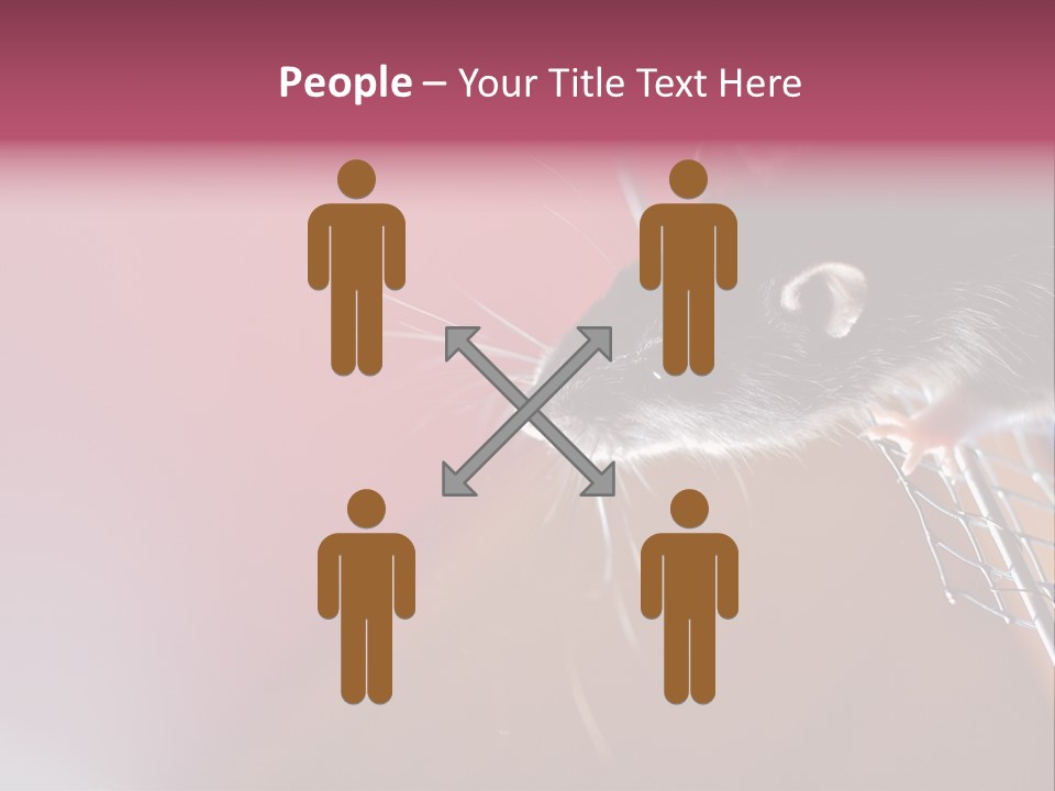 Greek Orthodox Church In Nicosia PowerPoint Template