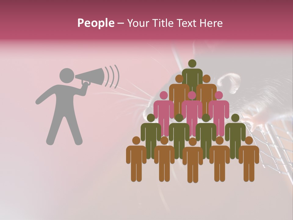 Greek Orthodox Church In Nicosia PowerPoint Template