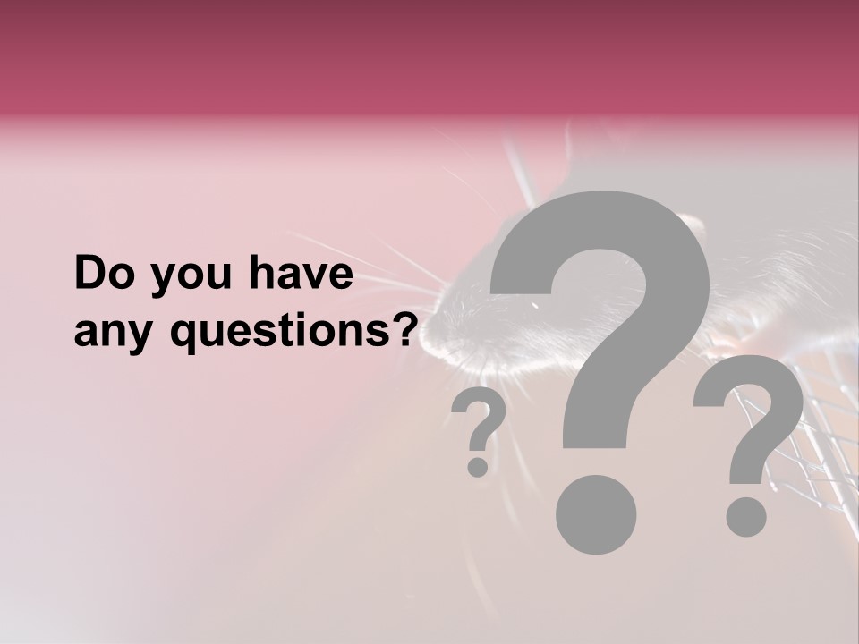 Greek Orthodox Church In Nicosia PowerPoint Template