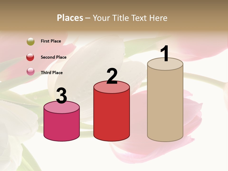 White And Pink Tulips PowerPoint Template