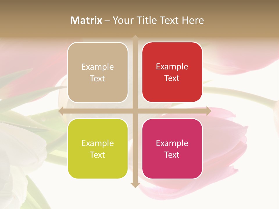 White And Pink Tulips PowerPoint Template