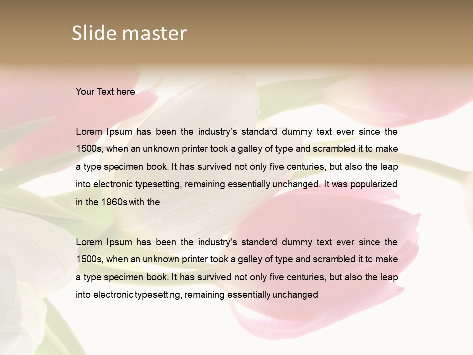 White And Pink Tulips PowerPoint Template