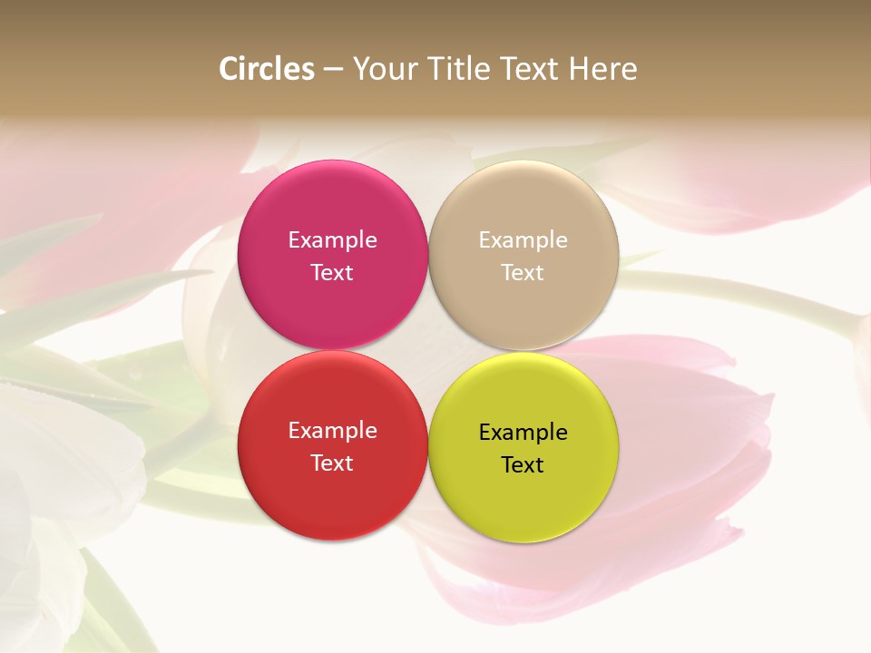 White And Pink Tulips PowerPoint Template