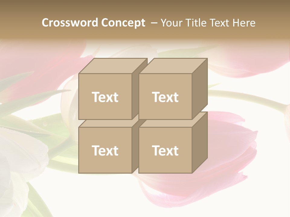 White And Pink Tulips PowerPoint Template