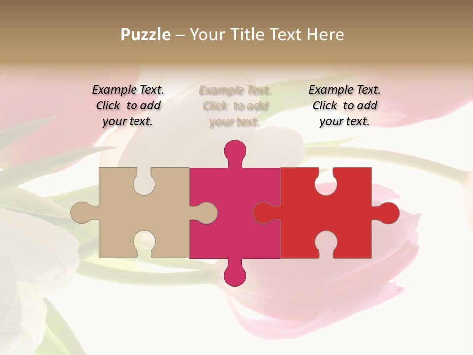 White And Pink Tulips PowerPoint Template