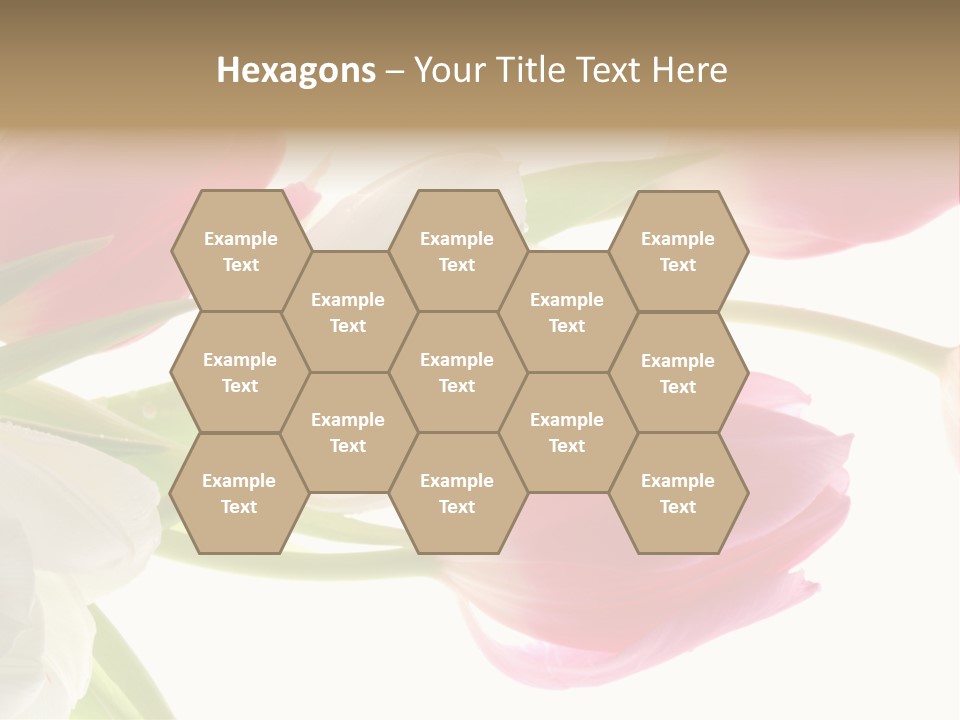 White And Pink Tulips PowerPoint Template