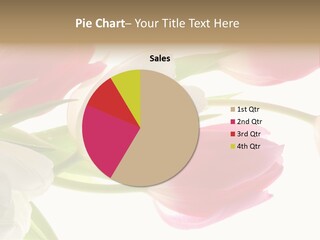 White And Pink Tulips PowerPoint Template