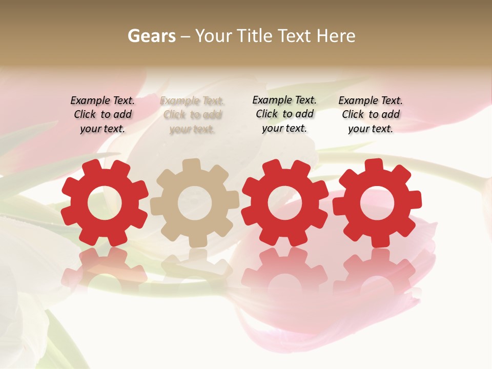 White And Pink Tulips PowerPoint Template