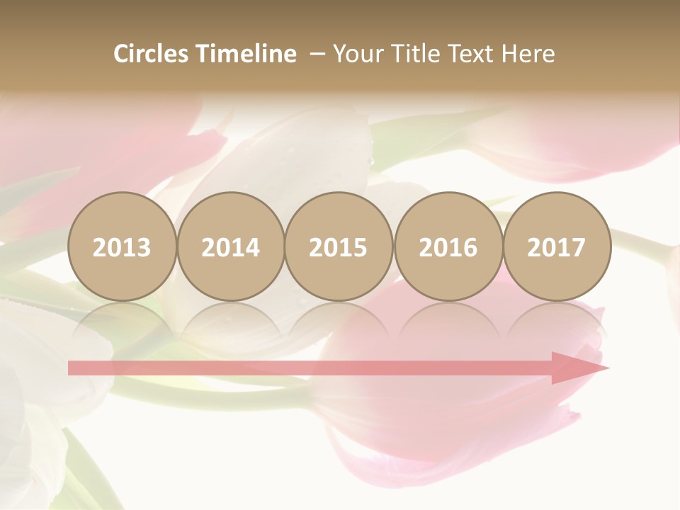 White And Pink Tulips PowerPoint Template