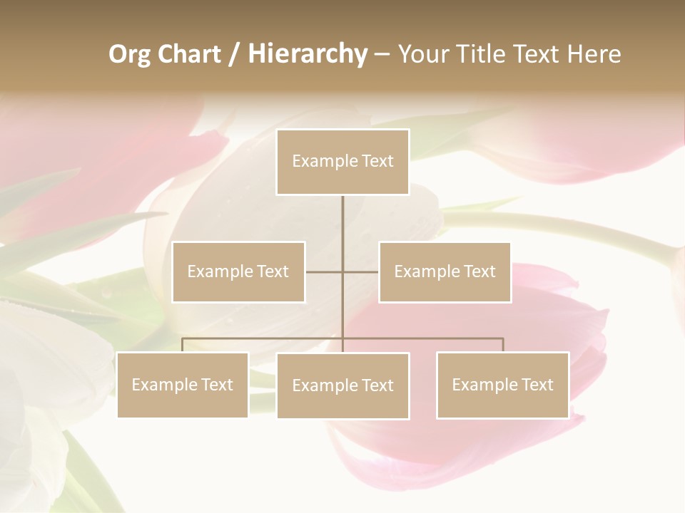 White And Pink Tulips PowerPoint Template