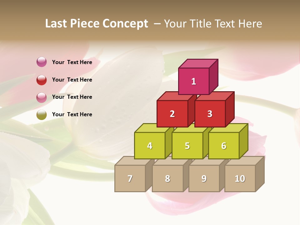 White And Pink Tulips PowerPoint Template