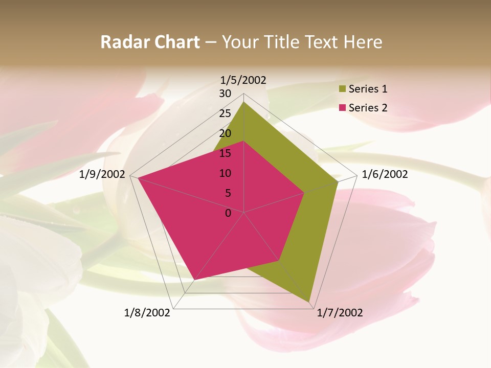 White And Pink Tulips PowerPoint Template