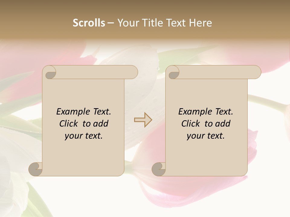 White And Pink Tulips PowerPoint Template