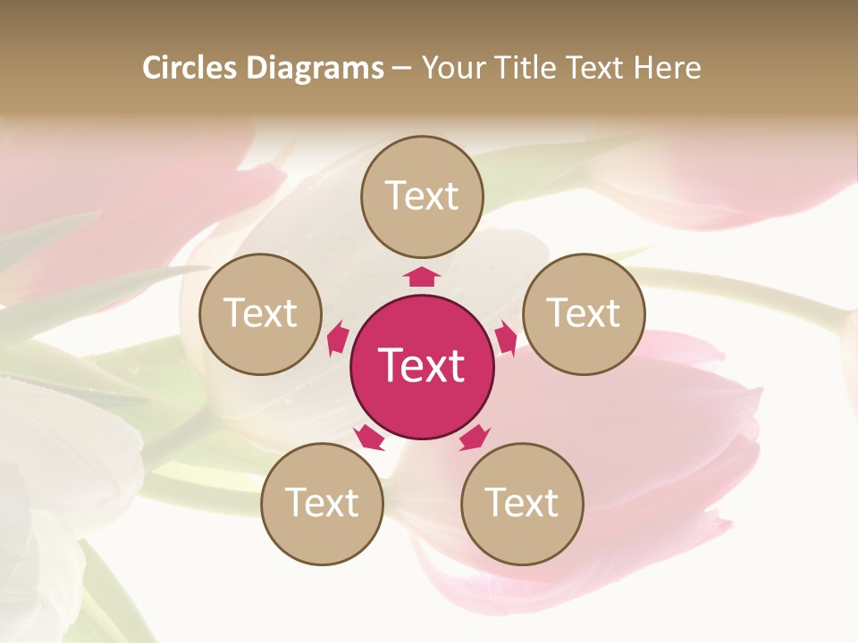 White And Pink Tulips PowerPoint Template