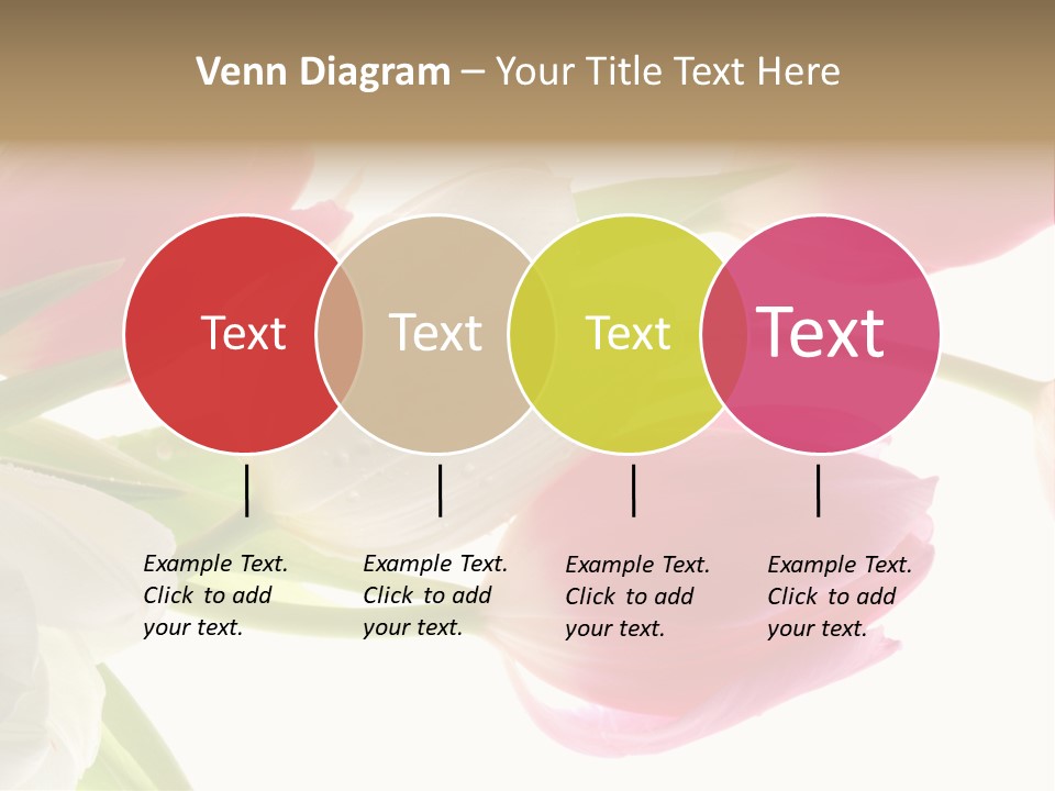 White And Pink Tulips PowerPoint Template