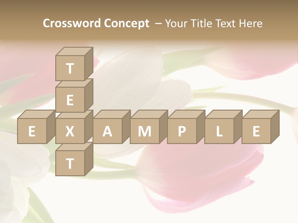 White And Pink Tulips PowerPoint Template