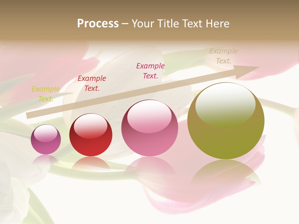 White And Pink Tulips PowerPoint Template