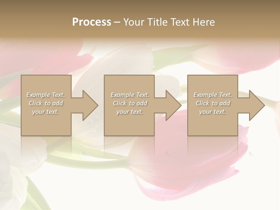 White And Pink Tulips PowerPoint Template