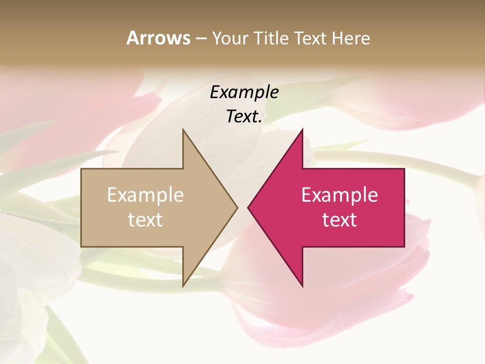 White And Pink Tulips PowerPoint Template