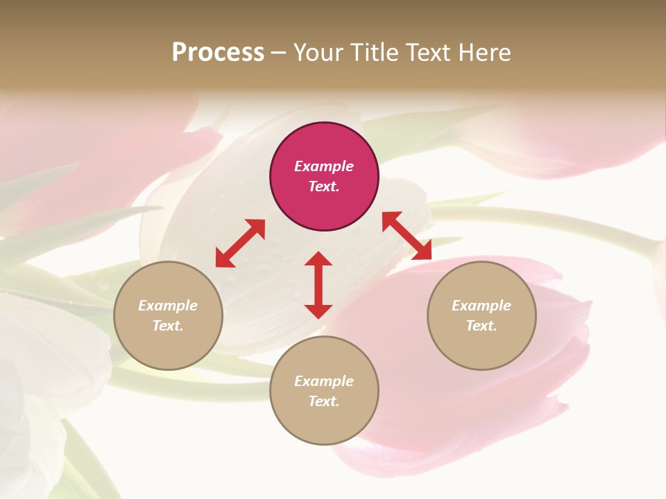 White And Pink Tulips PowerPoint Template