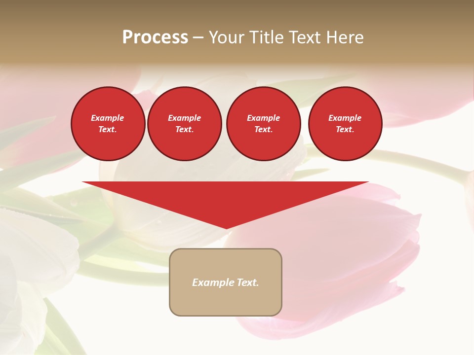 White And Pink Tulips PowerPoint Template