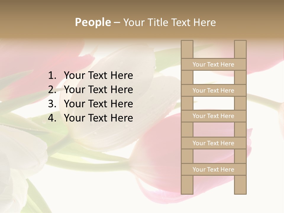 White And Pink Tulips PowerPoint Template