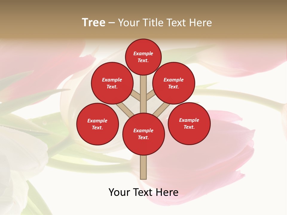 White And Pink Tulips PowerPoint Template