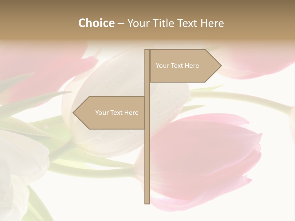 White And Pink Tulips PowerPoint Template