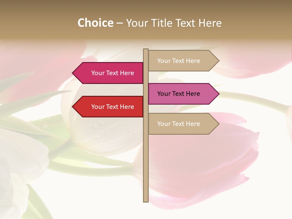 White And Pink Tulips PowerPoint Template