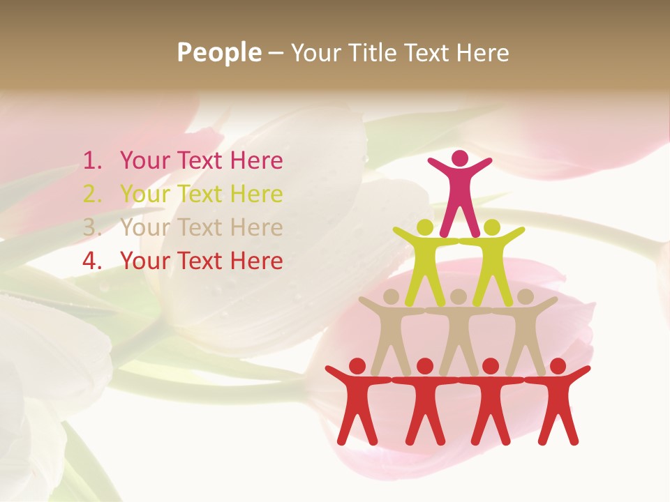 White And Pink Tulips PowerPoint Template