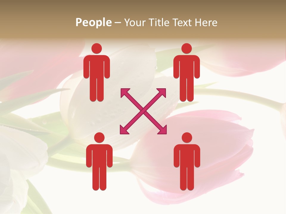 White And Pink Tulips PowerPoint Template