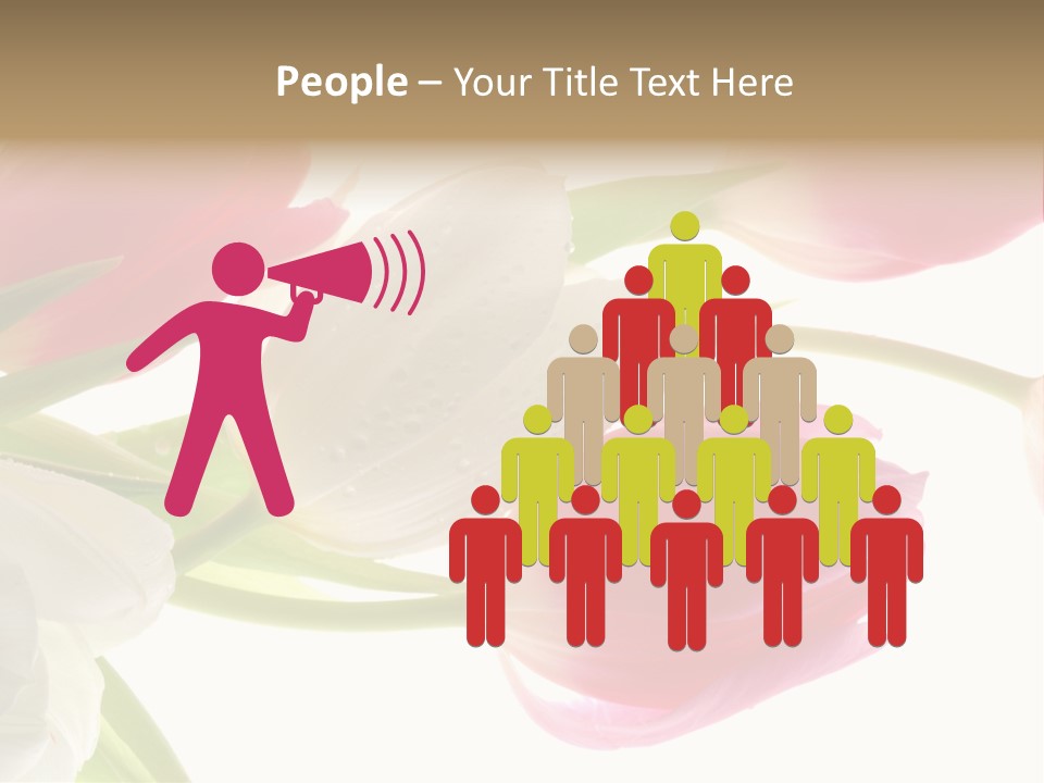 White And Pink Tulips PowerPoint Template