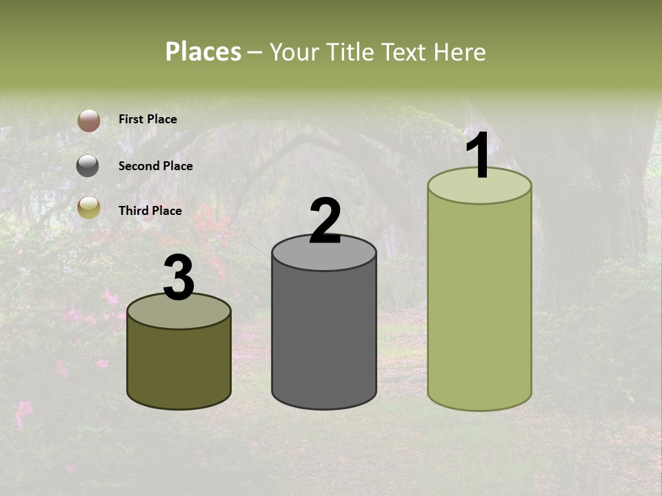 Spring Landscape Scene In Woods Of Charleston, South Carolina PowerPoint Template